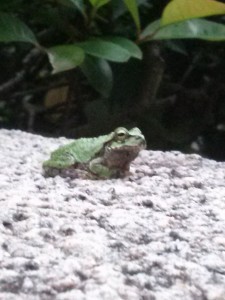 Thumbnail of post image 100