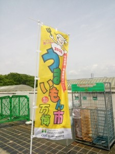 Thumbnail of post image 163