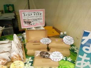 Thumbnail of post image 102