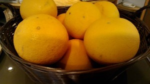 Thumbnail of post image 167