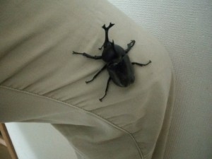 Thumbnail of post image 083