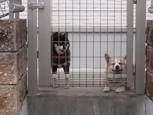 Thumbnail of post image 041