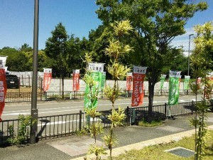 Thumbnail of post image 153