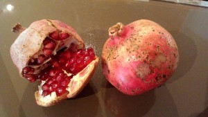 Thumbnail of post image 011