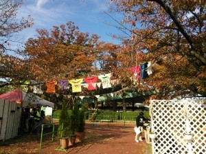 Thumbnail of post image 038