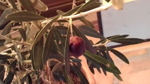 Thumbnail of post image 059