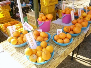 Thumbnail of post image 142