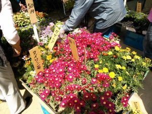 Thumbnail of post image 051