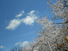 Thumbnail of post image 185