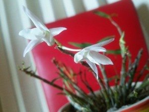 Thumbnail of post image 081