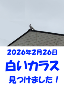 Thumbnail of post image 062